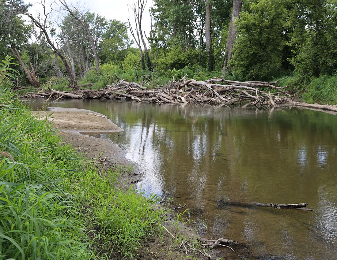 Listing Photo: Hunting land for sale